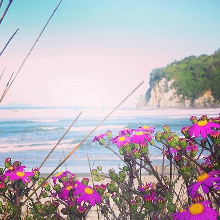 Estuary Retreat Whangamata Dış mekan fotoğraf